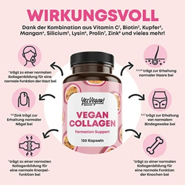 Vegan Collagen (120 Kapseln) mit Aminosäuren, Vitamin A C E, Biotin, Silicium, Zink und Mangan I Pflanzliche Alternative zu Collagen Pulver I Kollagen vegan (1x 120 Kapseln) - 4